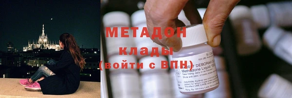 шишки Белоозёрский