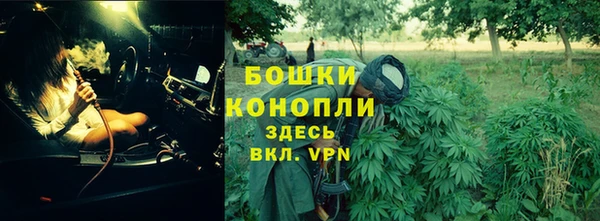 спайс Беломорск