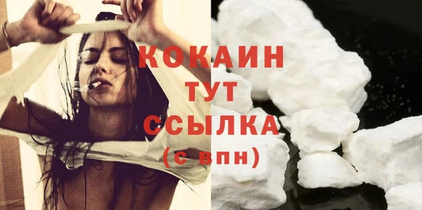 шишки Белоозёрский