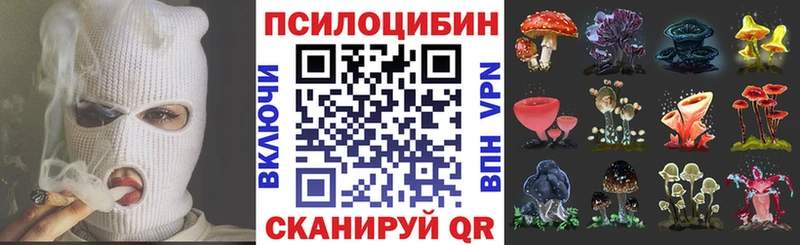 mega онион Горняк Галлюциногенные грибы Psilocybine cubensis